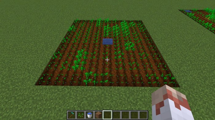 How do you plant seeds in minecraft