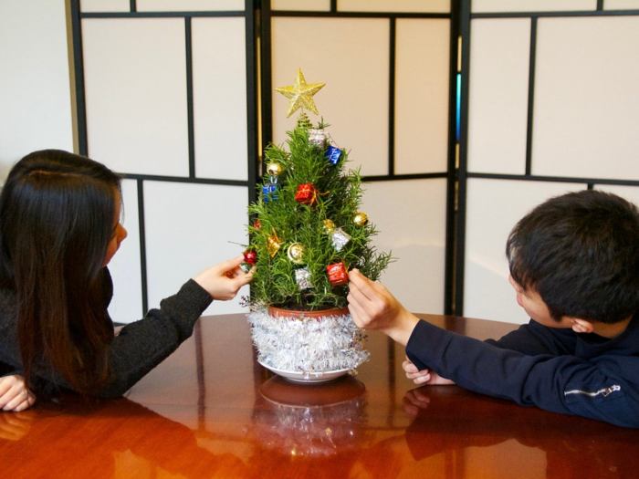 Christmas tree shaped rosemary plant