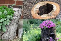 Plant in tree stump