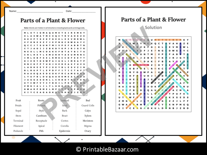 Plant and seed word bank answer key