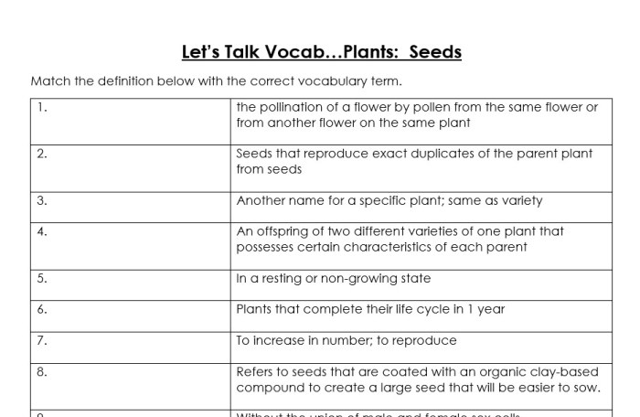 Plant and seed word bank answer key