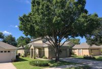 Tree service plant city fl